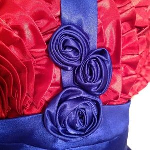 EUC Special Occasion/Homecoming Dress